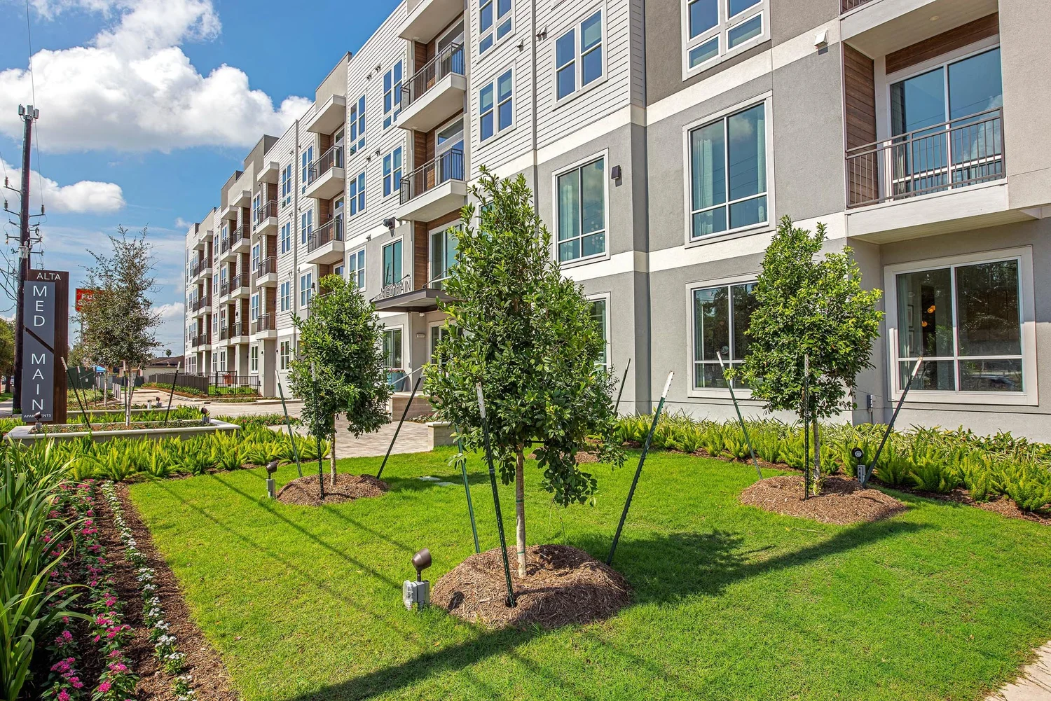 MF+MR 18018 Alta+Med+Main CREDIT+Wood+Partners Small+ 3